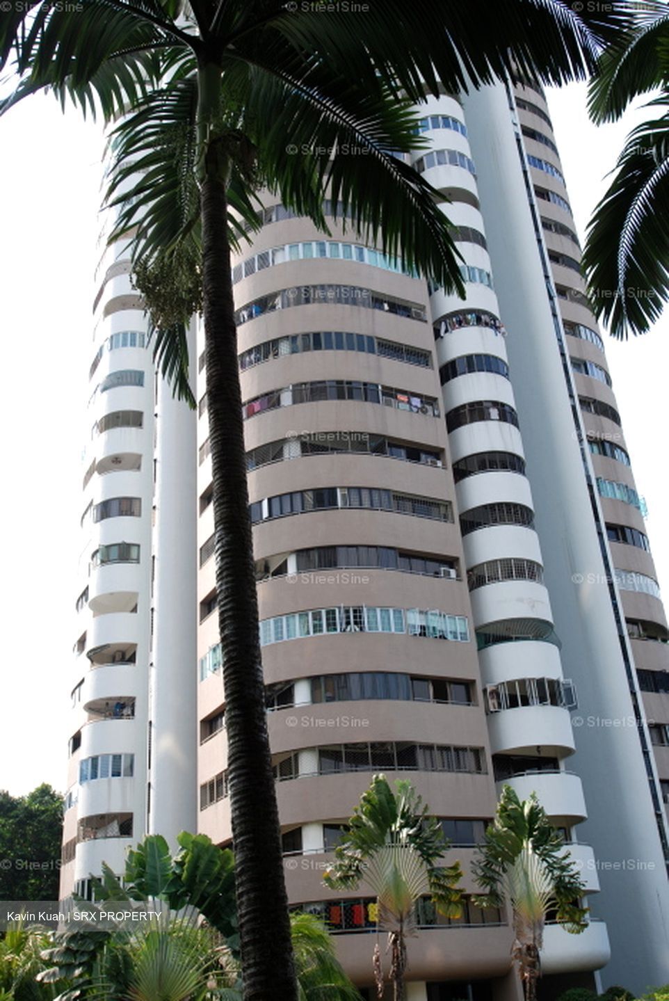 Teresa Ville (D4), Condominium #582833391